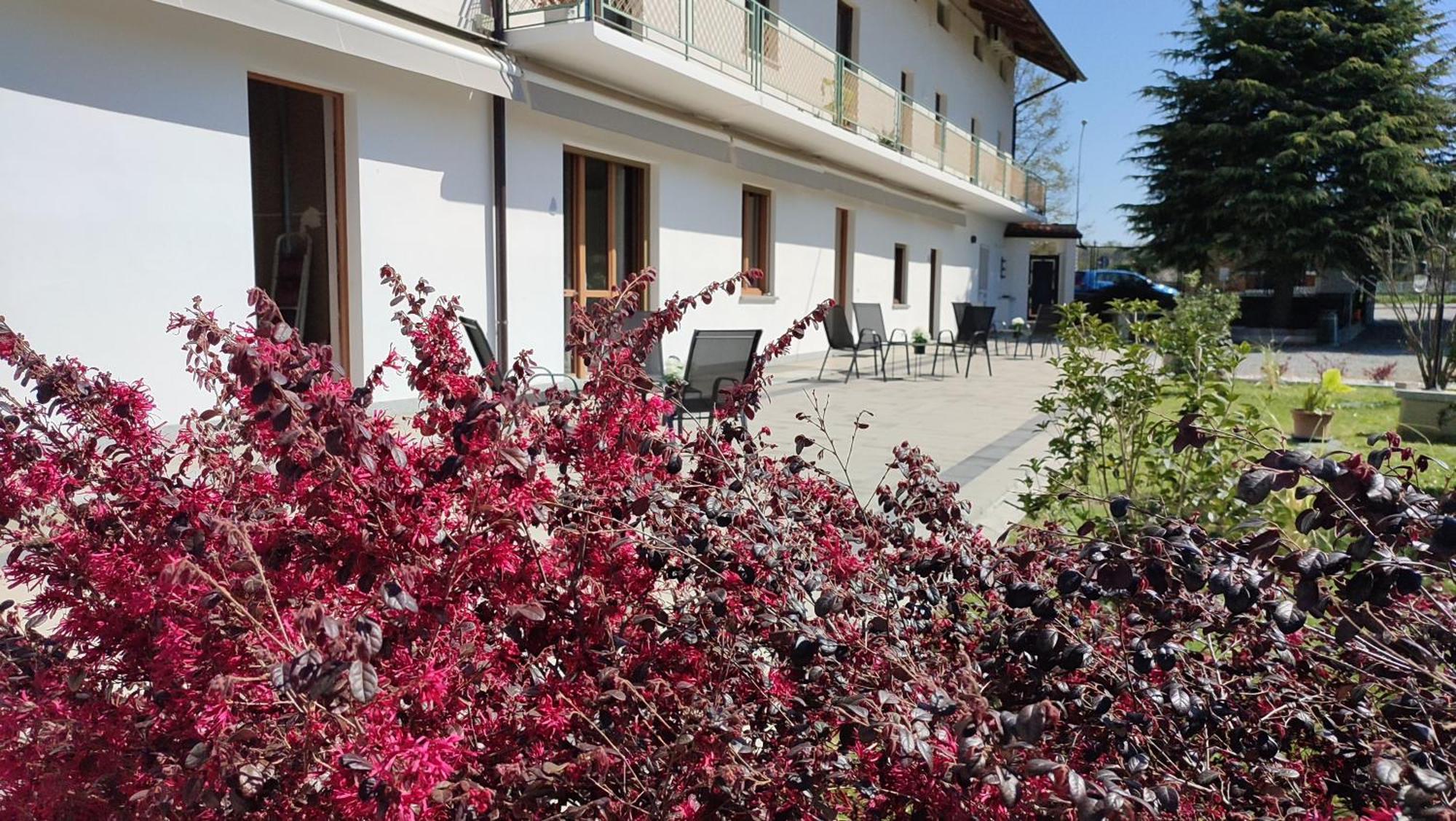 Nautica Tarello - Casa Ena Beb Acomodação com café da manhã Viverone Exterior foto